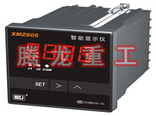 溫度表、數(shù)字顯示儀、濕度表