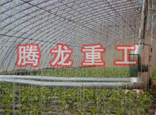 大棚花卉供暖設(shè)備、大棚卉采暖設(shè)備、大棚花卉取暖設(shè)備