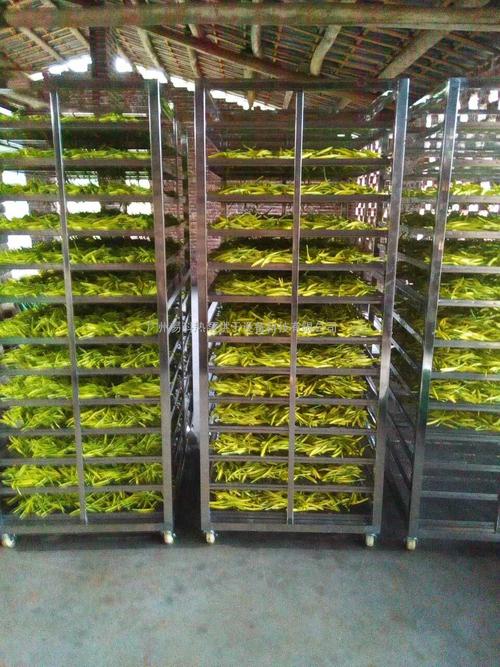 黃花菜烘干機(jī)、黃花菜烘干設(shè)備、黃花菜干燥機(jī)、黃花菜干燥設(shè)備、